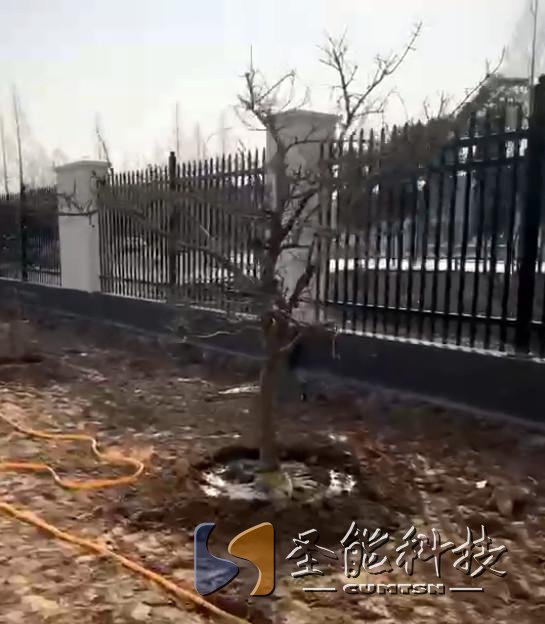 “植”此青綠，添彩圣能靜待花開