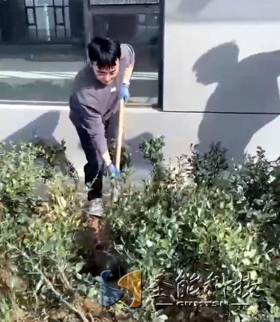 “植”此青綠，添彩圣能靜待花開